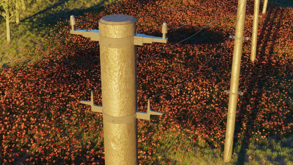 Poppy Field