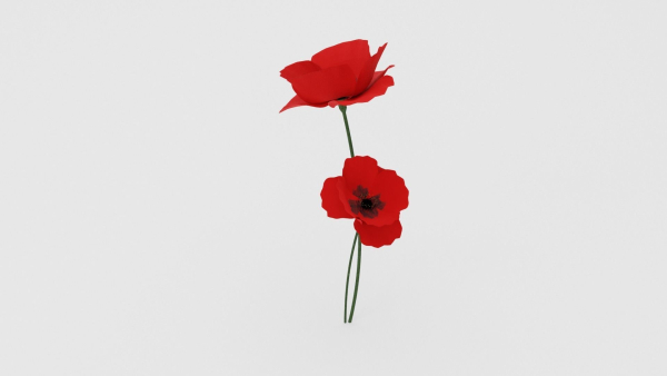 Poppy Flower