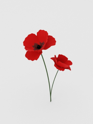 Poppy Flower