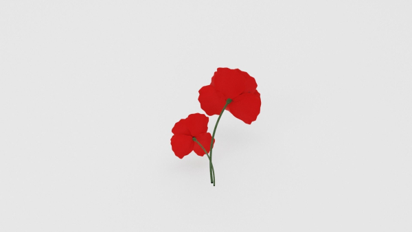 Poppy Flower