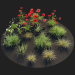 Poppy flower field