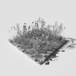 Poppy Meadow Patch and Free Gift