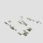Poppy Meadow Patch and Free Gift