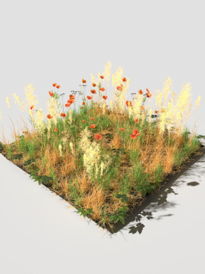 Poppy Meadow Patch and Free Gift
