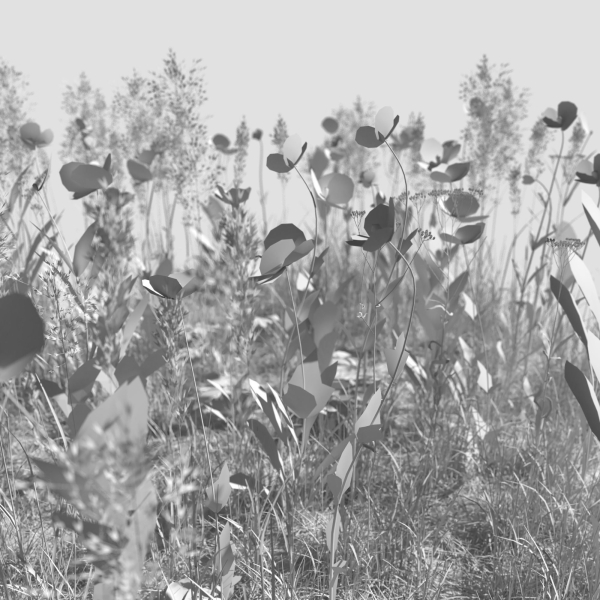 Poppy Meadow Patch and Free Gift