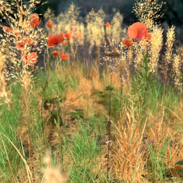Poppy Meadow Patch and Free Gift