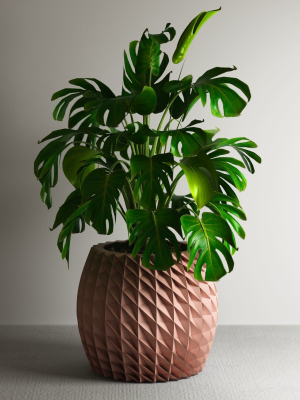 pot-g119-3d-model-5e96e32743