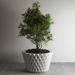pot g121
