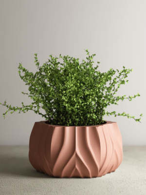 pot-g64-3d-print-model-3d-model-004539ffb2
