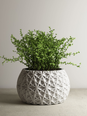 pot g68 3D print model
