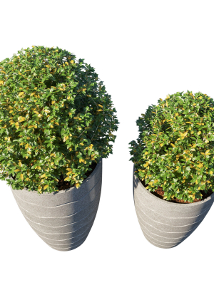 pot-plant-collection-3d-model-rigged-max-obj-mat