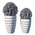 Pot Plant Collection