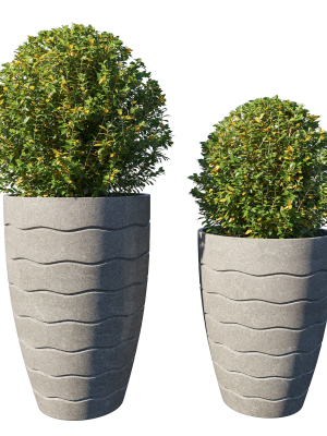 Pot Plant Collection