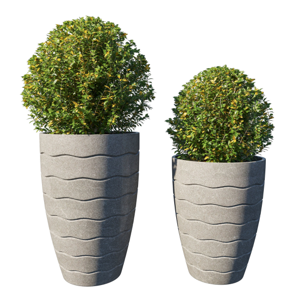Pot Plant Collection