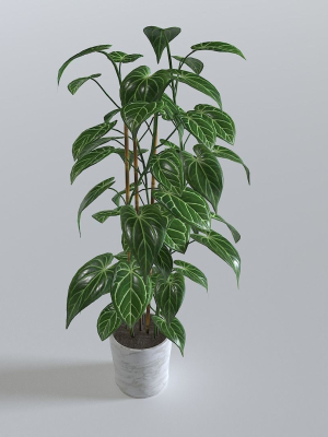 pot-tropical-plant-1-3d-model-133860eb29