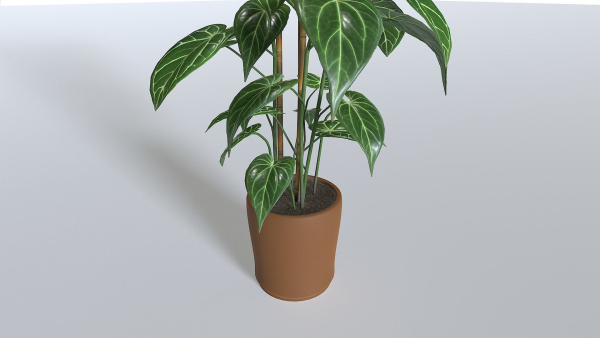 Pot Tropical Plant 1