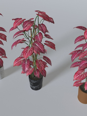 pot-tropical-plant-2-3d-model-2aa94a5924
