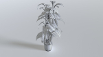 Pot Tropical Plant 2