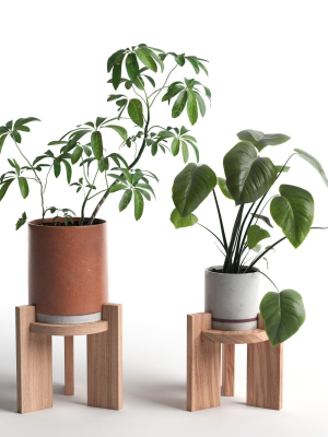 Pots with Plants 2