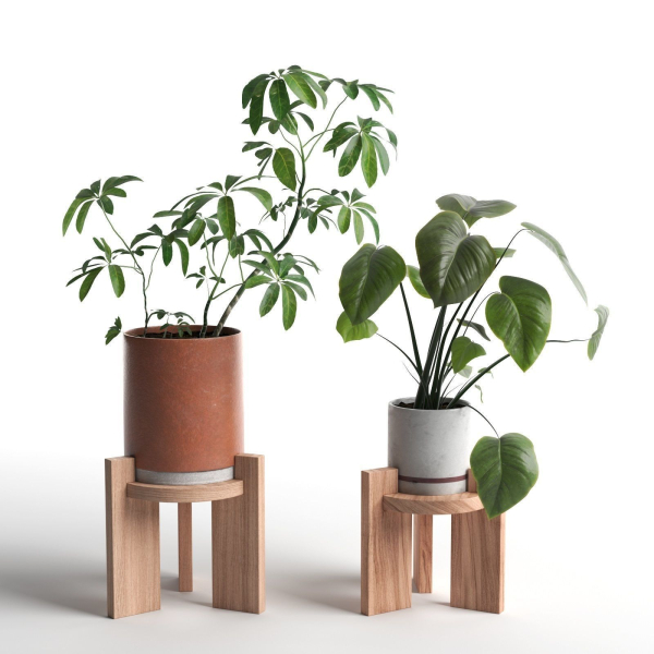 Pots with Plants 2