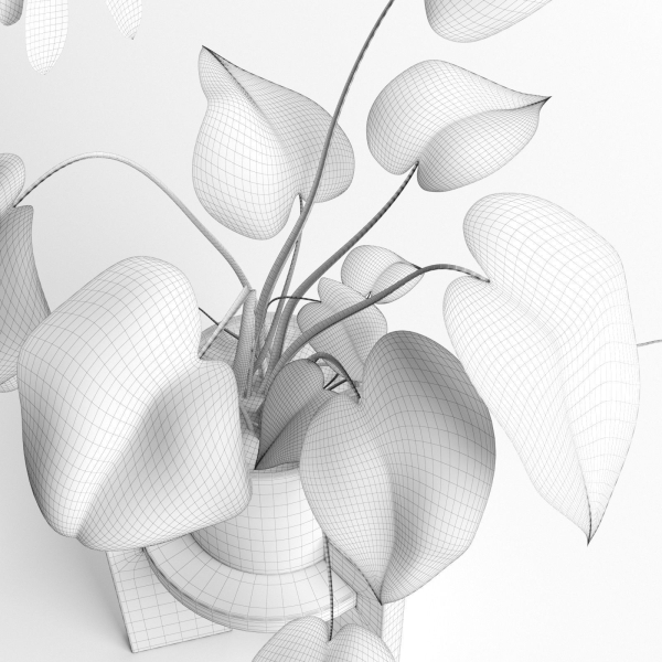 Pots with Plants 2