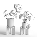 Pots with Plants 2