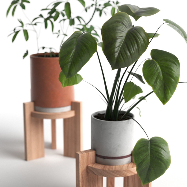 Pots with Plants 2