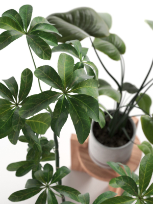 pots-with-plants-2-3d-model-e2df9c4692