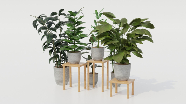Pots with Plants