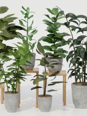 pots-with-plants-3d-model-5aedf6bb00