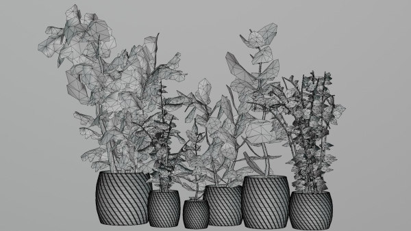 pots with plants