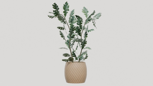pots with plants