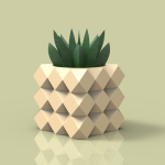 potted succulent and plants