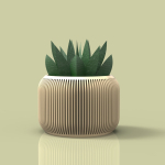 potted succulent and plants