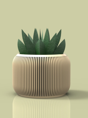 potted-succulent-and-plants-3d-model-ae83914546