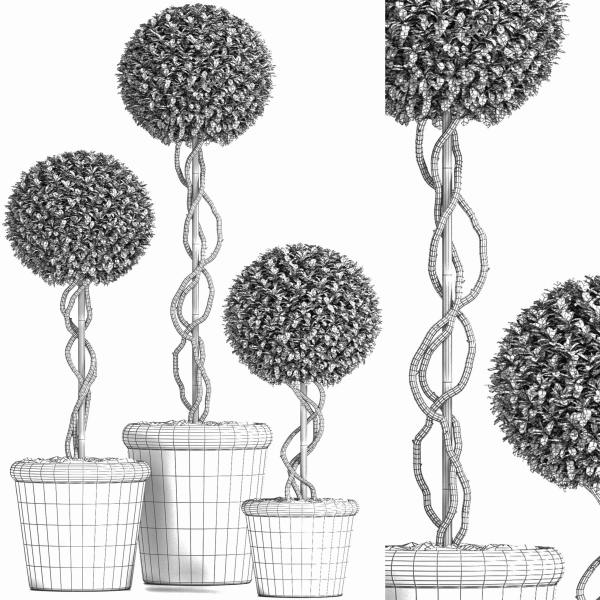 Preserved Boxwood Tree Topiary RH - Indoor Plant 220