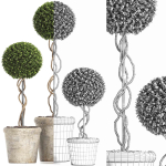 Preserved Boxwood Tree Topiary RH - Indoor Plant 220