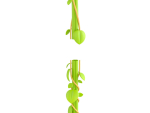 Prop306 Modular Vine