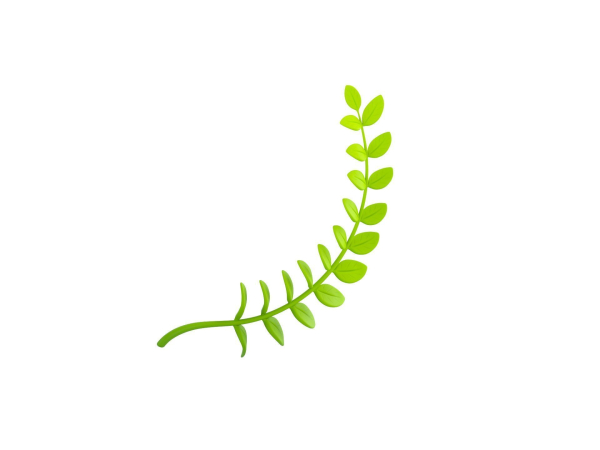 Prop310 Leaves Branch