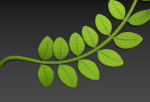Prop310 Leaves Branch