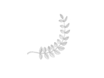 Prop310 Leaves Branch