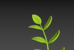 Prop310 Leaves Branch