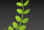 Prop310 Leaves Branch