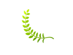 Prop310 Leaves Branch