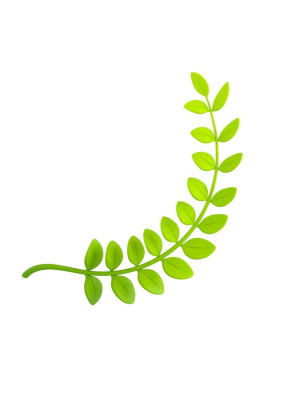 Prop310 Leaves Branch