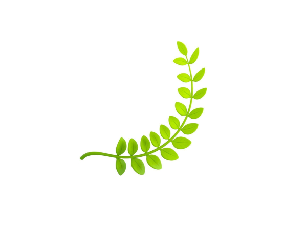 Prop310 Leaves Branch