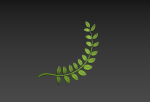 Prop310 Leaves Branch