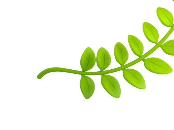 Prop310 Leaves Branch