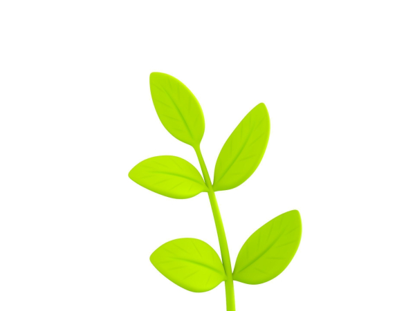 Prop310 Leaves Branch
