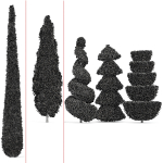 Pruned cedar trees